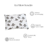 Dino Quilt Infant Set