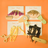 Playbox Comb and Shine - Grooming Kit