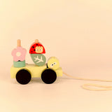 Playbox Forest Pull Toy